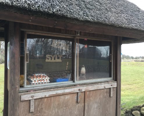 Sylt Ei vom Hansenhof