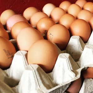 Sylt Ei aus Morsum